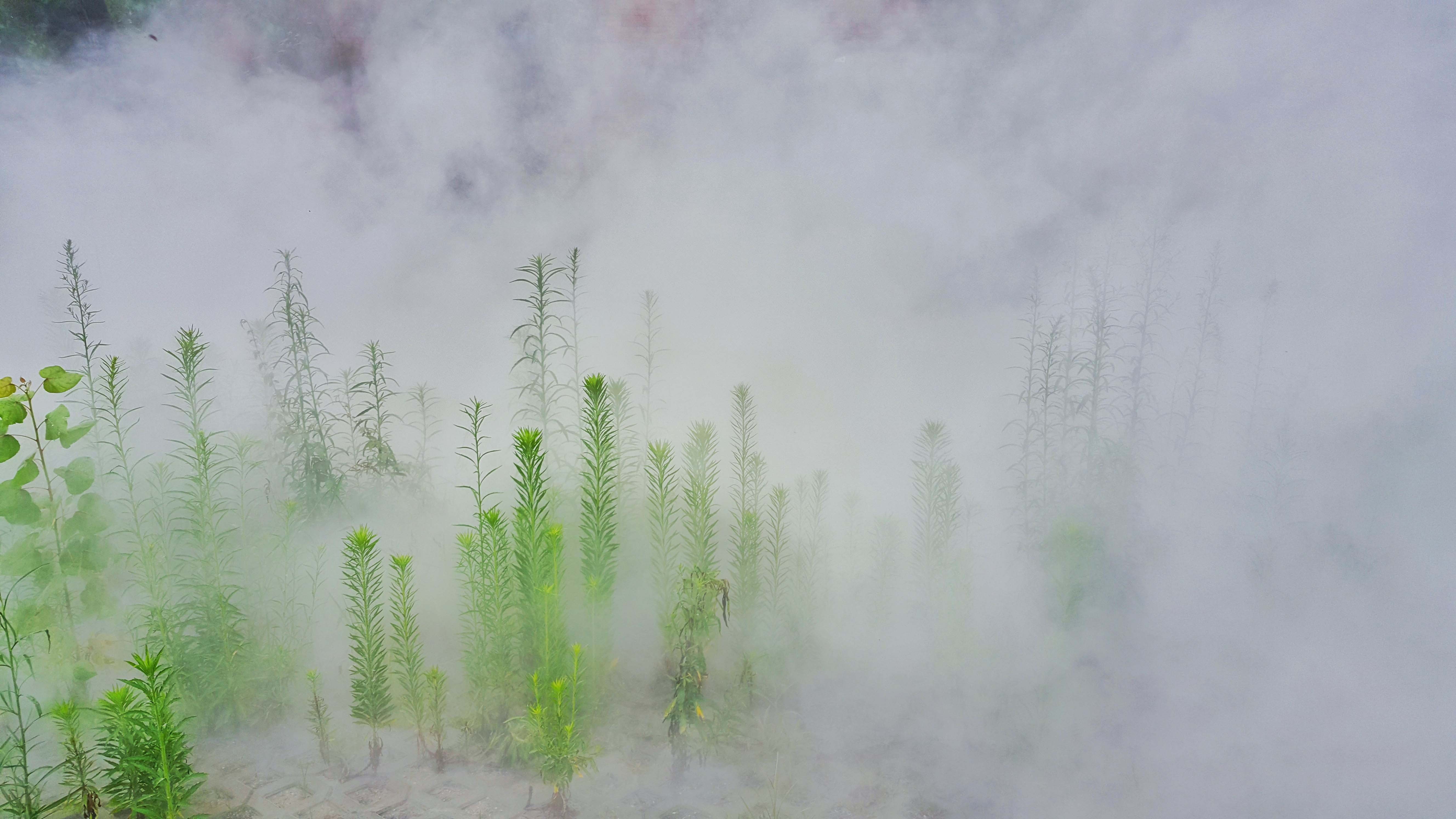 幽灵信使的黄昏-记忆的坟场